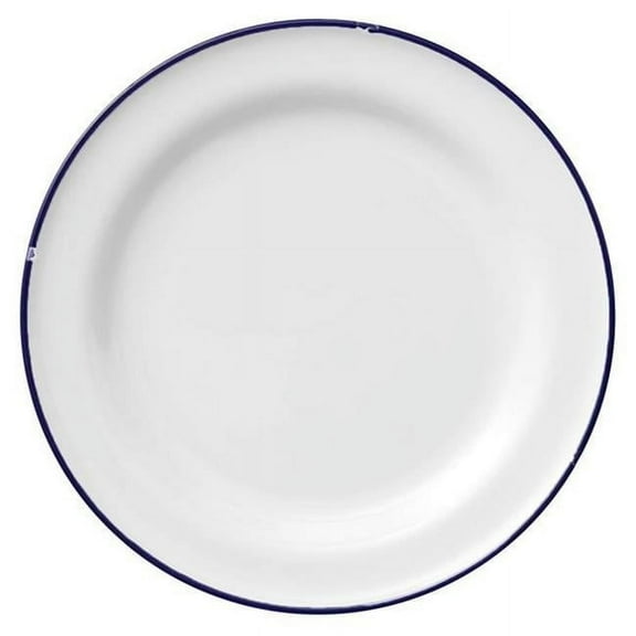Oneida L2105008152 10.75 in. Porcelain Plate  White & Blue