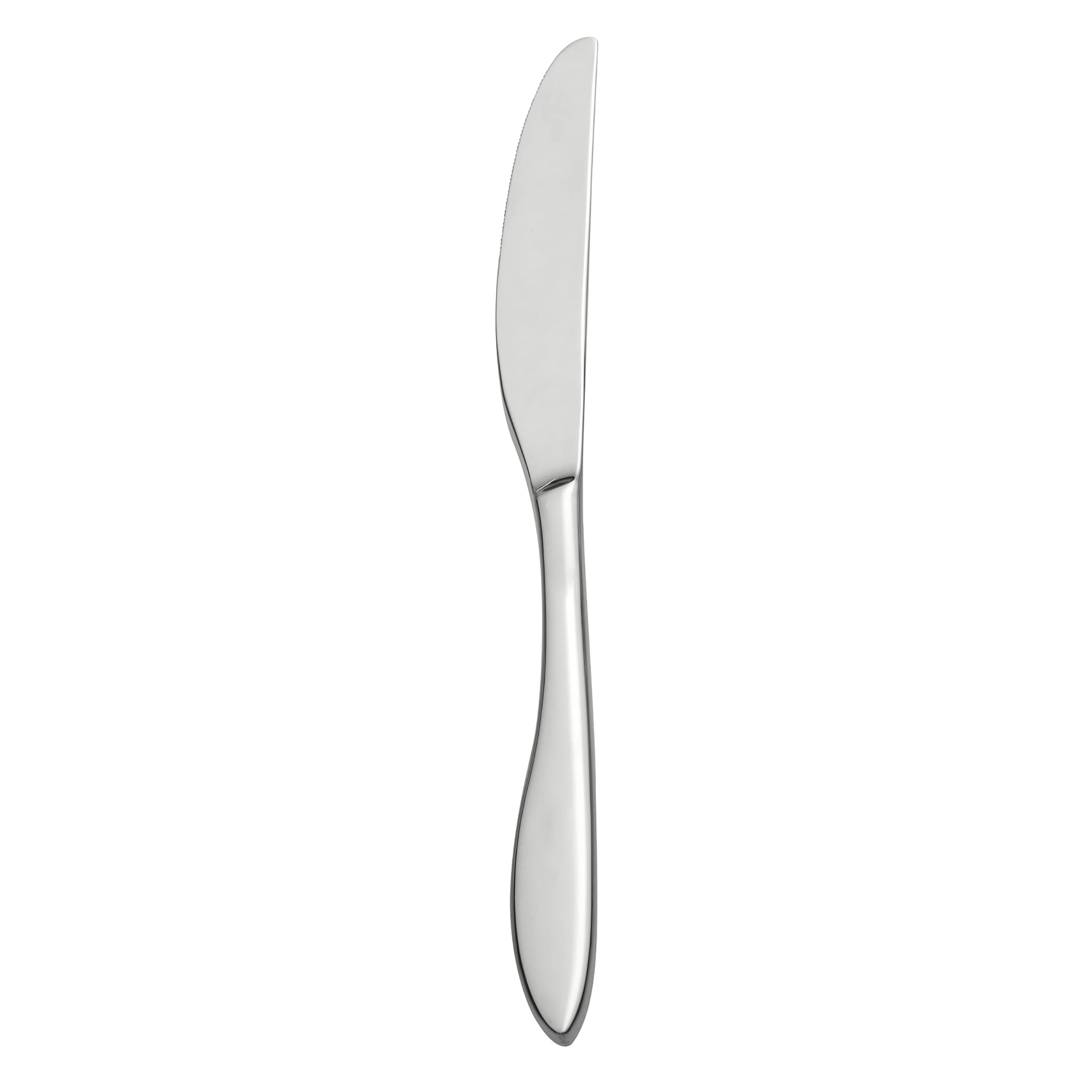 Oneida Solefield Stainless Steel Dinner Knife, 1 Piece, Silver