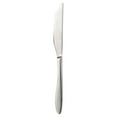 thumbnail interactive-video image 1 of Oneida Solefield Stainless Steel Dinner Knife, 1 of 8