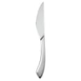 thumbnail image 1 of Oneida V672KSSF Silverplate Reflections Steak Knife, 1 of 1