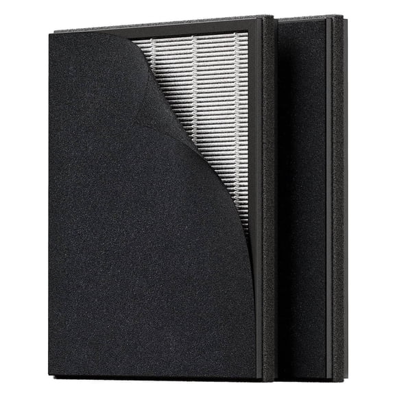 Oneisall 2 Pack Double-Sided Replacement Filter for PP02 Pet Air Purifier, Black