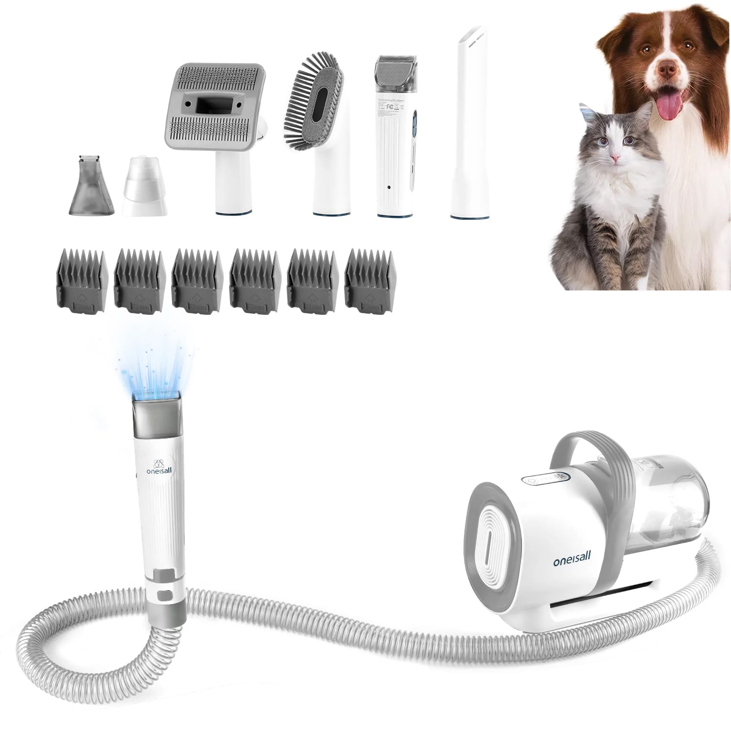 Professional dog top grooming box