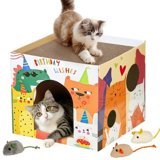 Cardboard Cat House