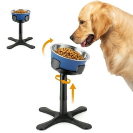 Raised dog bowls walmart hot sale