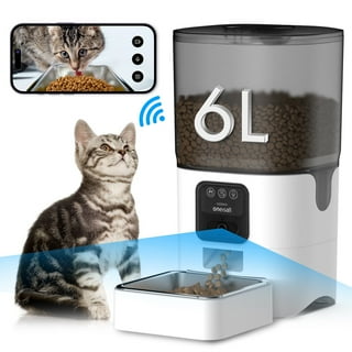 Pet feeder walmart discount