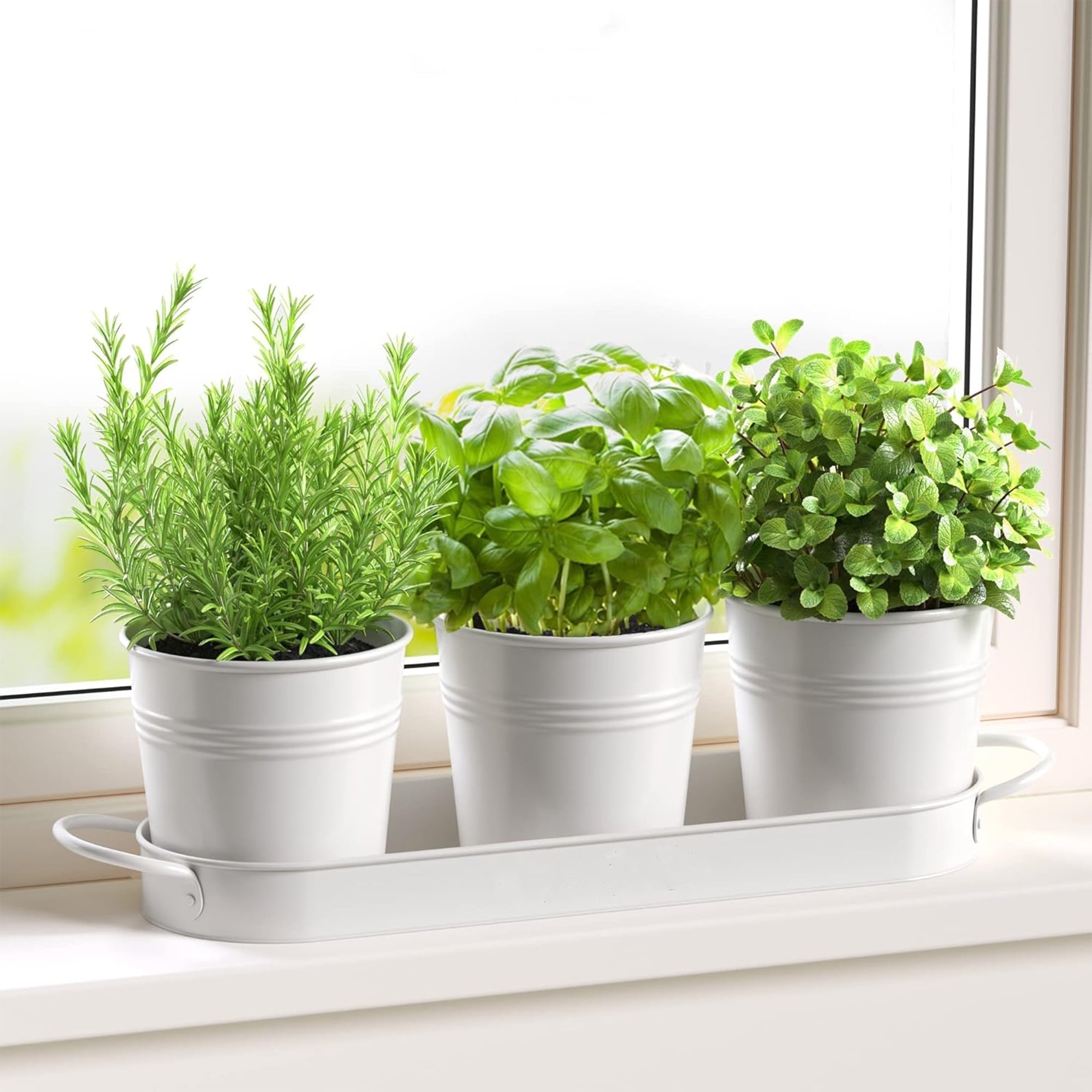 Onekawa Herb Garden Planter, Kit with Tray Metal, Windowsill Plant Pots with Drainage, Home Decoration Planters, Succulents Planters, Kitchen Herb Garden for Outdoor or Indoor Plants, Set/3 (White) - Walmart.com