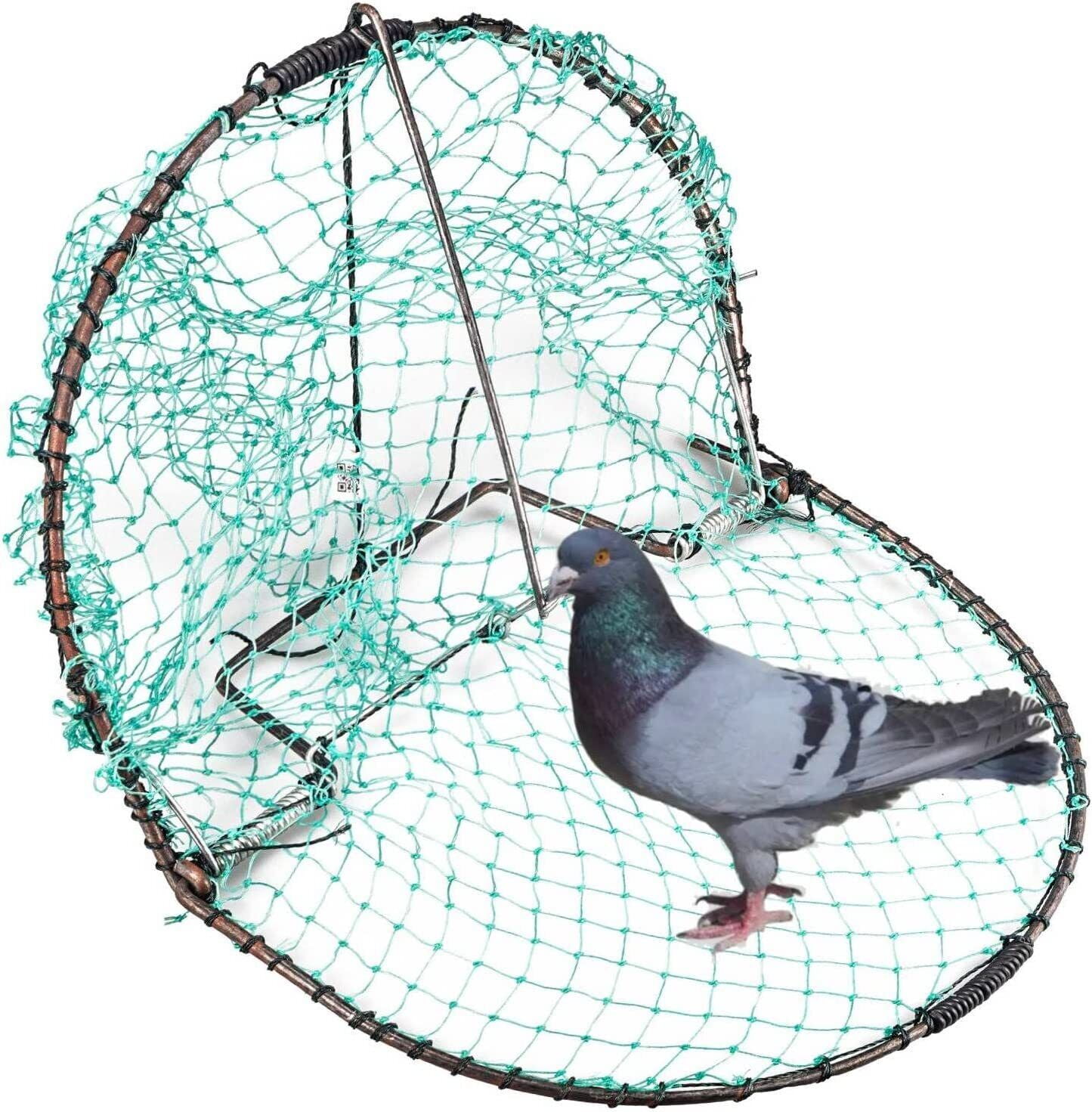 Bird Net Trap