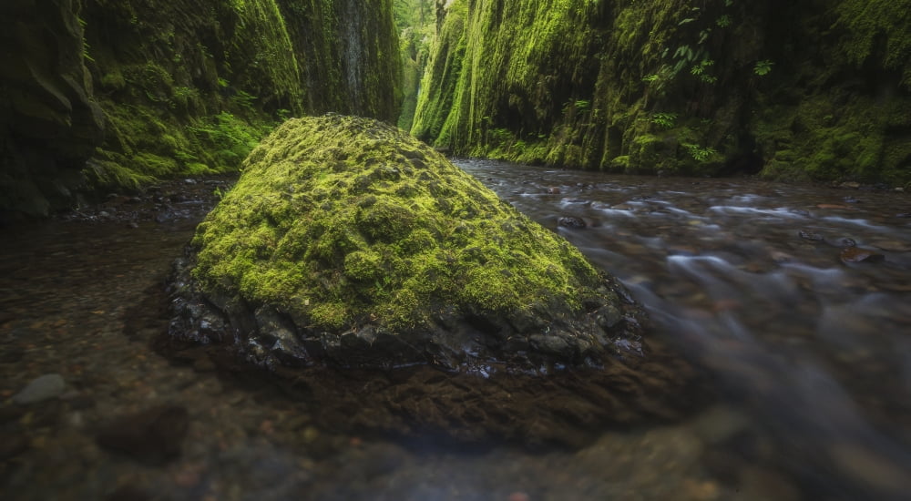 Oneonta Canyon Columbia River Gorge Oregon United States of America Canvas Art - Robert Postma Design Pics (21 x 11)