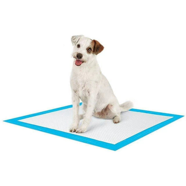 Oneshrt Dog and Puppy Pee Pads with Leak-Proof Quick-Dry Design for Potty Training, Standard Absorbency, 17x23 Inches, Pack of 30
