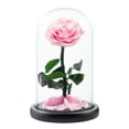 thumbnail image 1 of Ongmies Preserved Roses Gift for Her – Colorful Light-Up Rose in Glass Dome, Unique Mother's Day & Birthday Gift for Women, Perfect Love Gift for Mom, 1 of 9