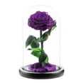 thumbnail image 1 of Ongmies Preserved Roses Gift for Her – Colorful Light-Up Rose in Glass Dome, Unique Mother's Day & Birthday Gift for Women, Perfect Love Gift for Mom, 1 of 9