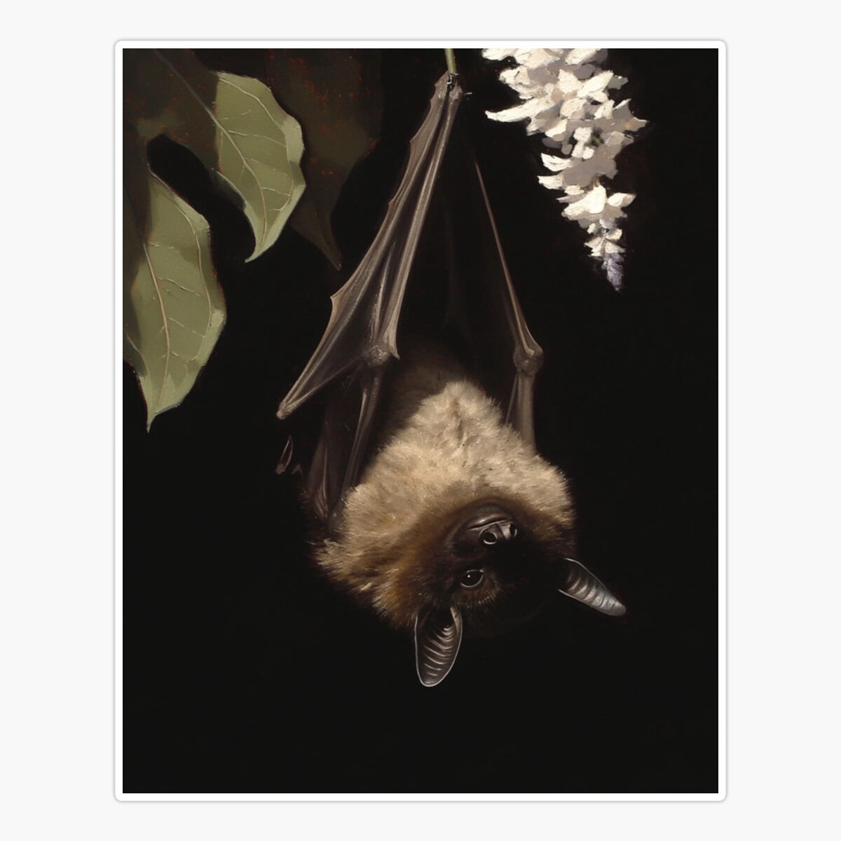 Onim Bat Dark Nature Vintage Art Sticker, Phone Decal Water Bottle ...