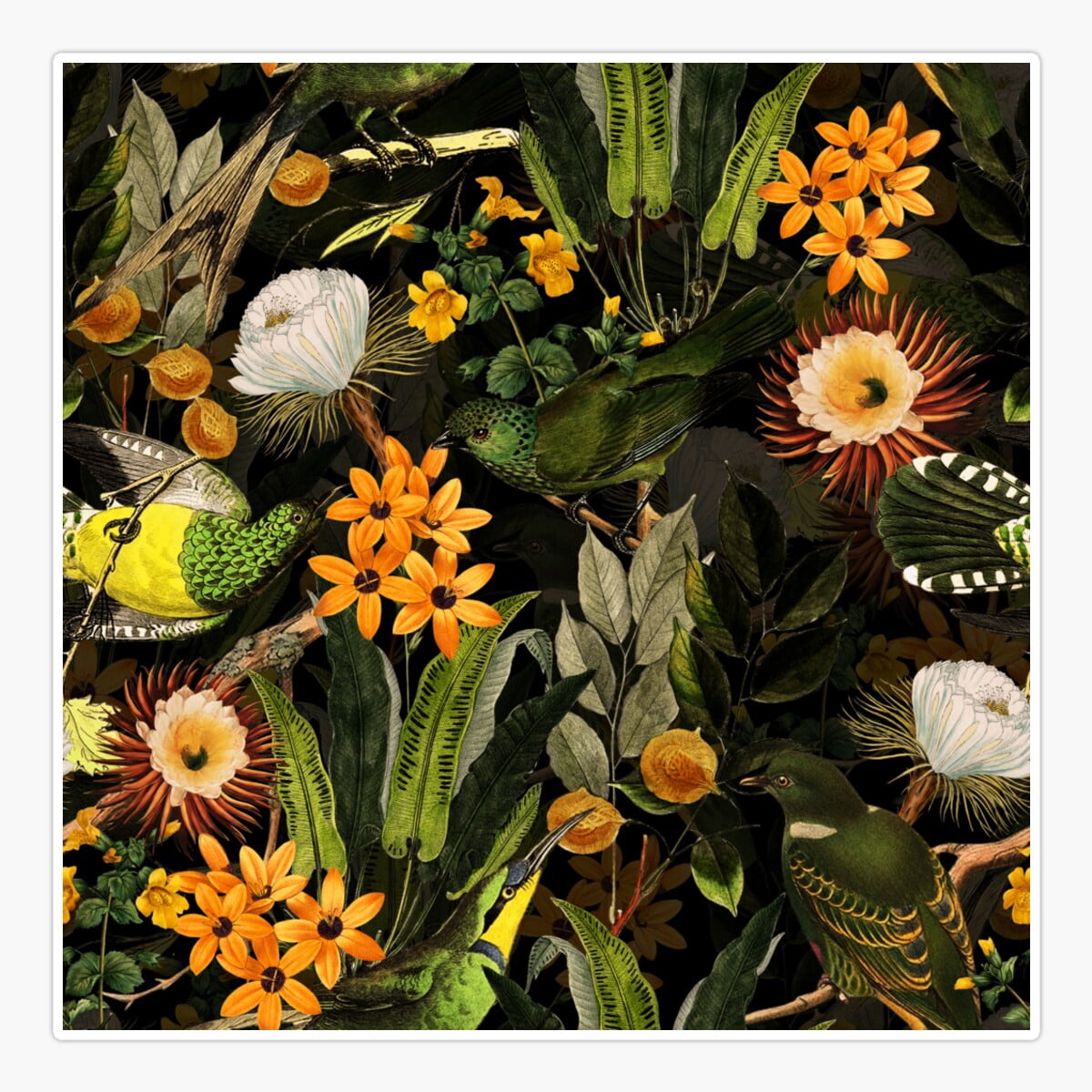Onim Birds In Tropical Flower Garden - Black Nightgarden Sticker, Phone ...