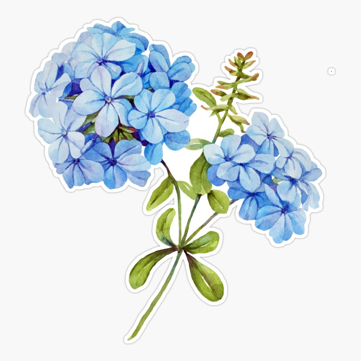Hydrangea Sticker Onim Blue Hydrangea Watercolor Cluster Sticker, Phone Decal Water ...