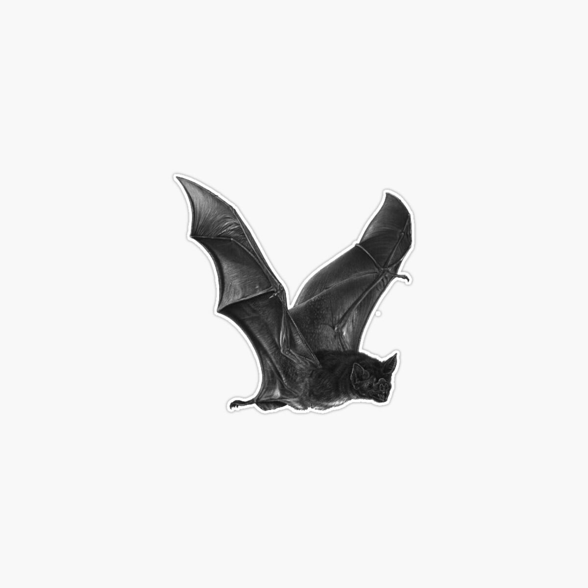 Onim FLYING VAMPIRE BAT Sticker - Walmart.com