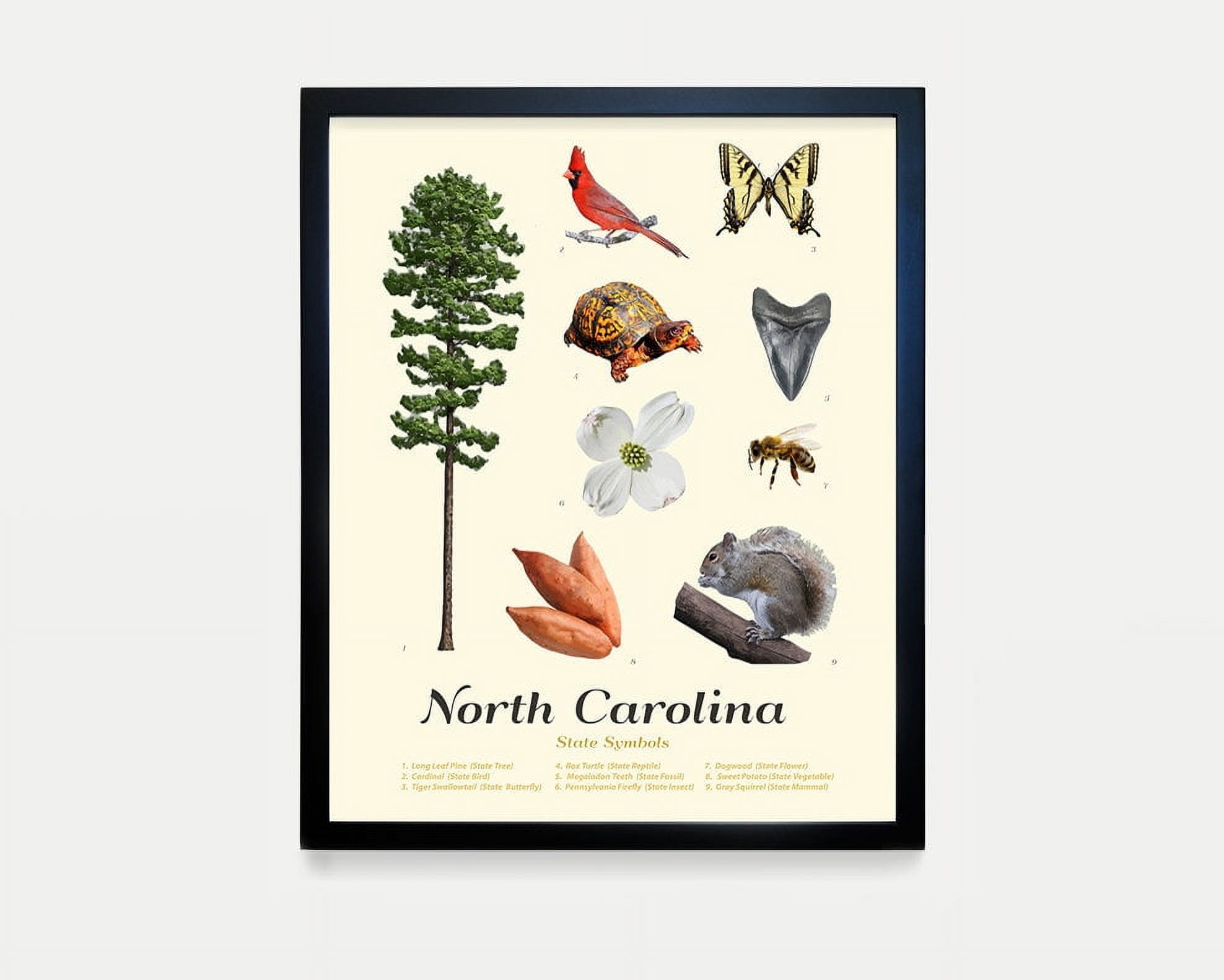 Onimhouse Poster North Carolina State Symbols Typology - North Carolina ...