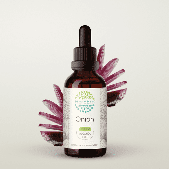 HerbEra Onion Tincture, Herbal Dietary Supplement for Antioxidant Support, Onion (Allium cepa) Dried Bulb Extract, Natural, Alcohol-Free, Drops 2 oz