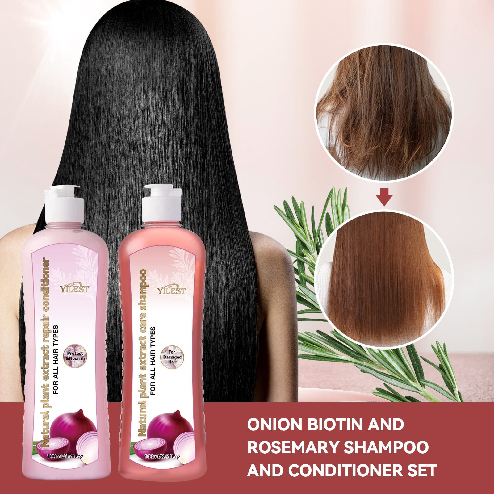 Onion Biotin and Rosemary Shampoo Treatment Set, Silicone Free Shampoo Treatment 248ml for All Hair Types Hair Loss and Thinning Hair Care Conditioner, Shampoo De Cebolla Y Romero Con Biotina