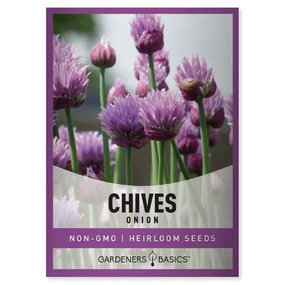 Onion Chives Seeds