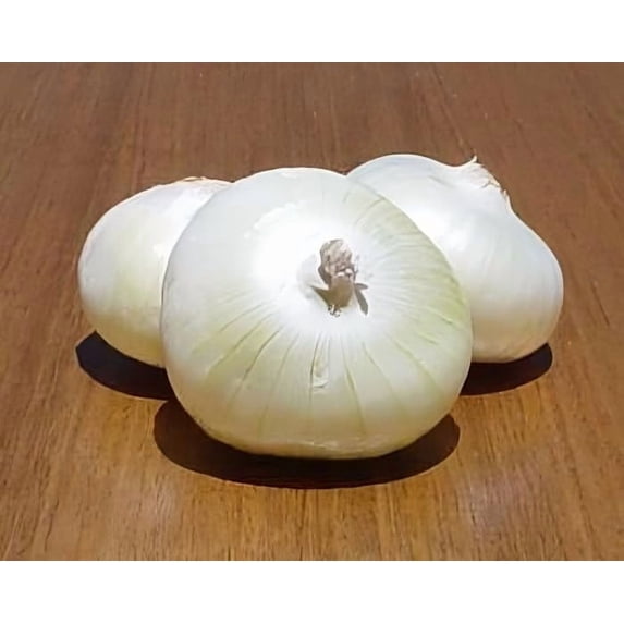 Onion Crystal White Wax Great Heirloom Vegetable (1 Lb Seeds)