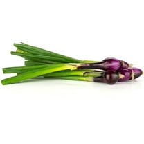 Onion Seeds - Bunching - Crimson Forest - 1 g Packet ~300 Seeds - Allium cepa - Non-GMO, Heirloom - Farm & Vegetable Garden