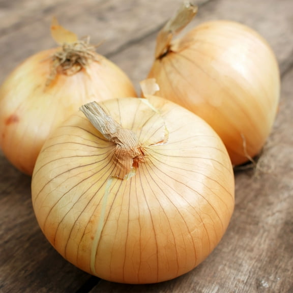 Onion Seeds - Imai Early Yellow - 1 g Packet ~270 Seeds - Non-GMO, Heirloom - Asian Garden Vegetable