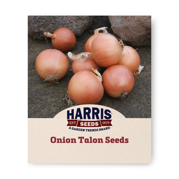 Harris Seeds Onion Talon F1 Organic, Copper Skin, 4–6 Inch Storage Bulbs, Long-Day Variety, 50 Count