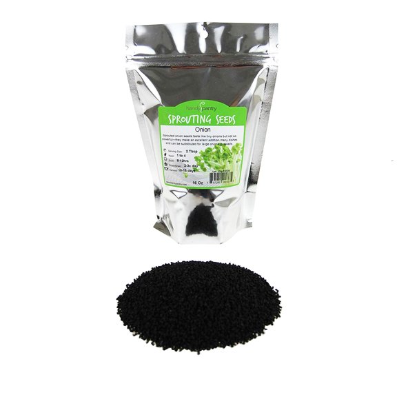Onion Sprouting Seeds: 3.5 Lb - Chemical Free, Non-GMO Sprout Seed- Grow Onion Salad Sprouts, Garden Seed, Microgreens, More