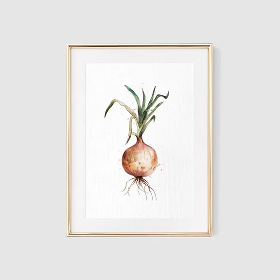 Onion Vegetable Kitchen Botanical Wall Art Decor Unframed Paper Print