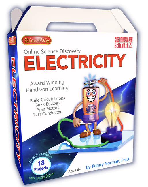 Online Discovery Electricity (General merchandise)