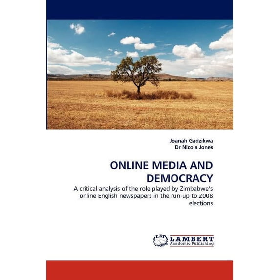 Online Media and Democracy (Paperback)