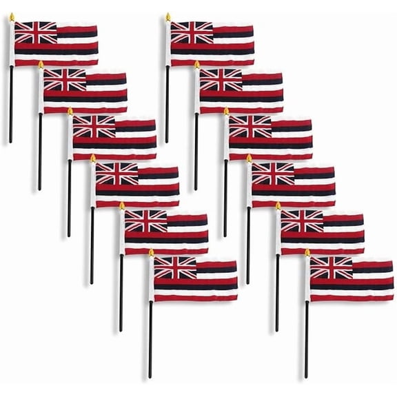 Online Stores Hawaii Flag 4 x 6 inch (3 PK)
