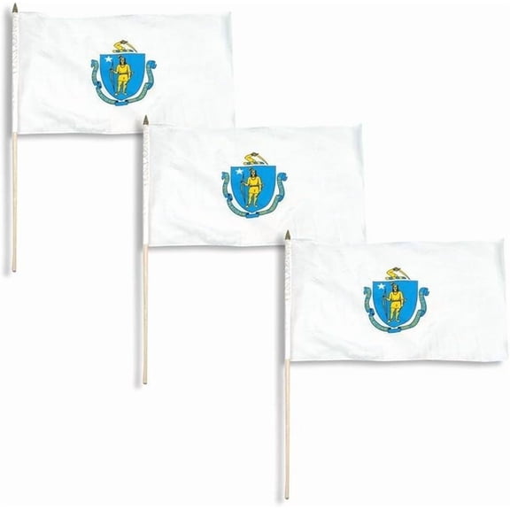 Online Stores, Inc. Massachusetts Flag 12 x 18 inch (3 PK)