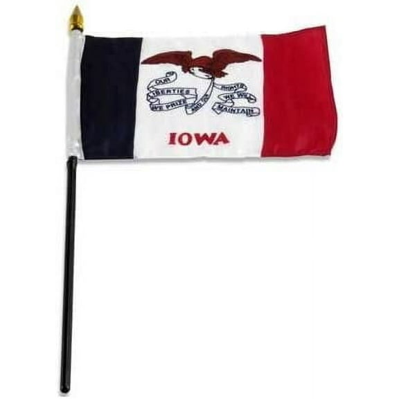 Online Stores Iowa Flag 4 x 6 inch