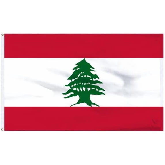 Super Tough Lebanon 4x6ft Nylon Flag with Indoor Pole Hem and Fringe | Durable Heavyweight Nylon | Strong Canvas Heading & Brass Grommets | Perfect for Indoor & Outdoor Display | Made in USA
