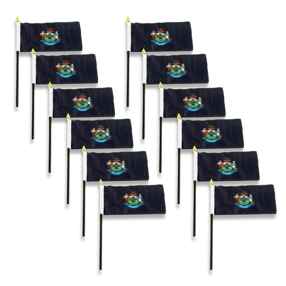 Online Stores Michigan Flag 12in x 18in - 12 PK
