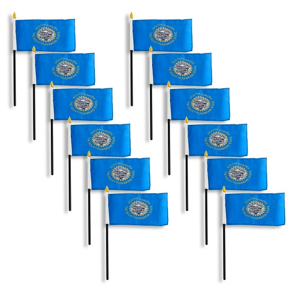 Online Stores South Dakota Flag 4in x 6in - 12 PK