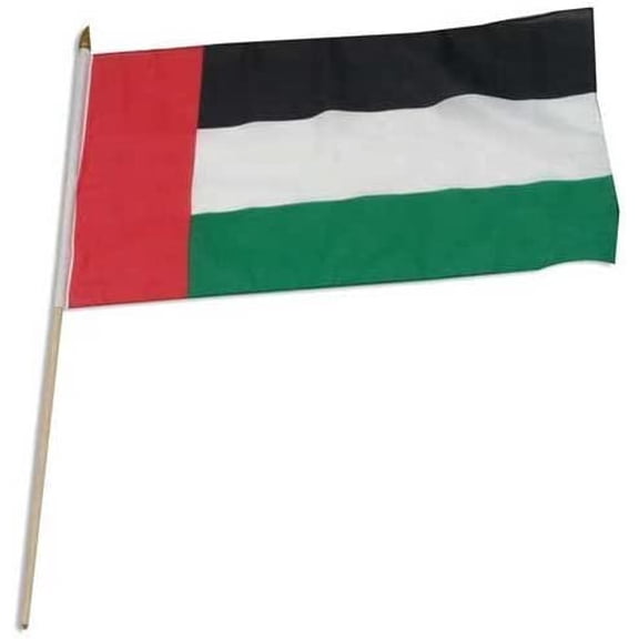 Online Stores United Arab Emirates Flag 12 x 18 inch