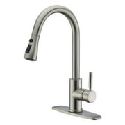 OnlineGymShop CB21872 16.5 in. Kitchen Pull-Out Faucet with Plate
