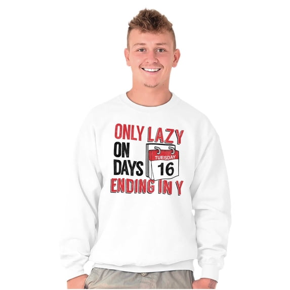 Only Lazy on Days that End in Y Funny Unisex Plus Fleece Graphic Sweatshirt Brisco Brands 5X