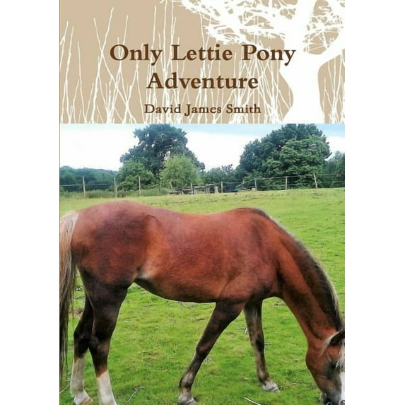 Only Lettie Pony Adventure, (Paperback)