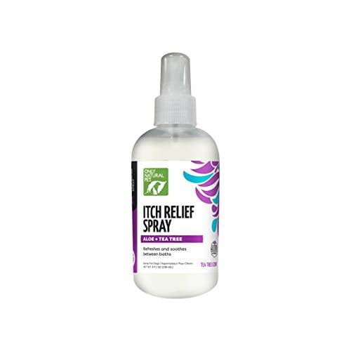 Only Natural Pet Itch Relief Spray With Aloe Tea Tree For Dogs Anti only-natural-pet-itch-relief-spray-with-aloe-tea-tree-for-dogs-anti