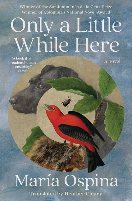 Only a Little While Here, (Paperback)