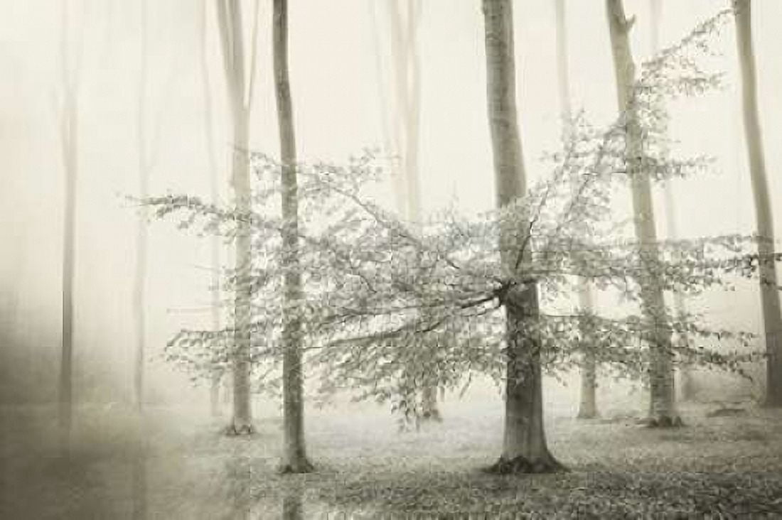 Only for Unicorns Canvas Art - Lars Van de Goor (12 x 18)