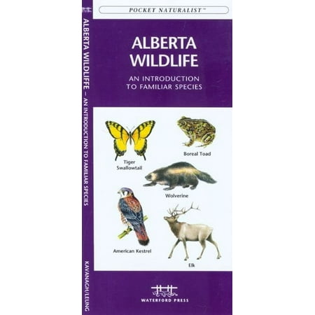 Ontario Birds : A Folding Pocket Guide to Familiar Species - Paperback