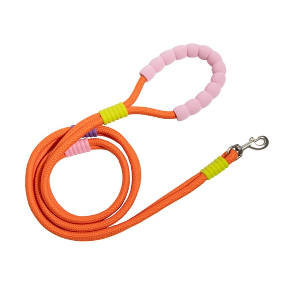 Oodles Color Wrapped  6 ft Polyester Rope Dog Leash, Multi-Colored
