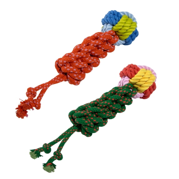 Oodles Durable Lasso Rope Dog Toy Set, Multicolored, Small