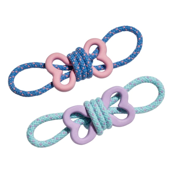 Oodles Durable Rubber Bone Wrapped Rope Dog Toy Set, Blue and Purple, Small
