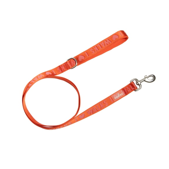 Oodles I Heart Walks 6 ft Polyester Standard Dog Leash, Red