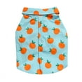 thumbnail image 1 of Oodles Sweet Citrus Boxy Button Up Dog Shirt, Blue, Extra Small, 1 of 15